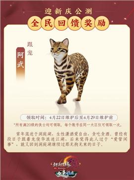 呼啸天龙八部私服